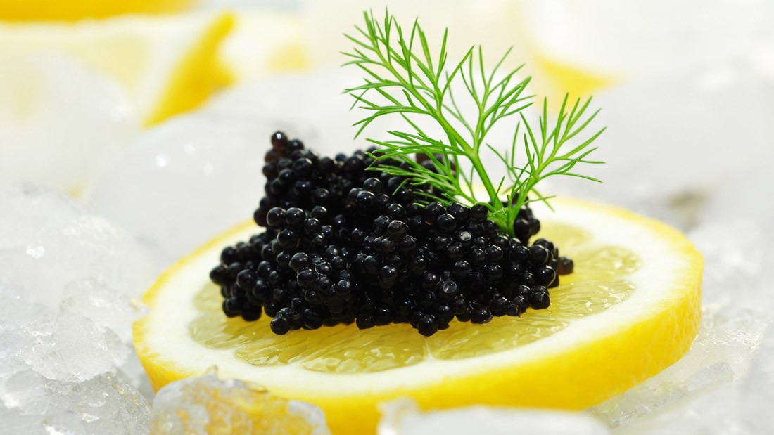 Framgångsrik kaviarproduktion i Abu Dhabis öken 